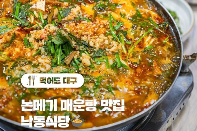 논메기 매운탕 맛집 낙동식당